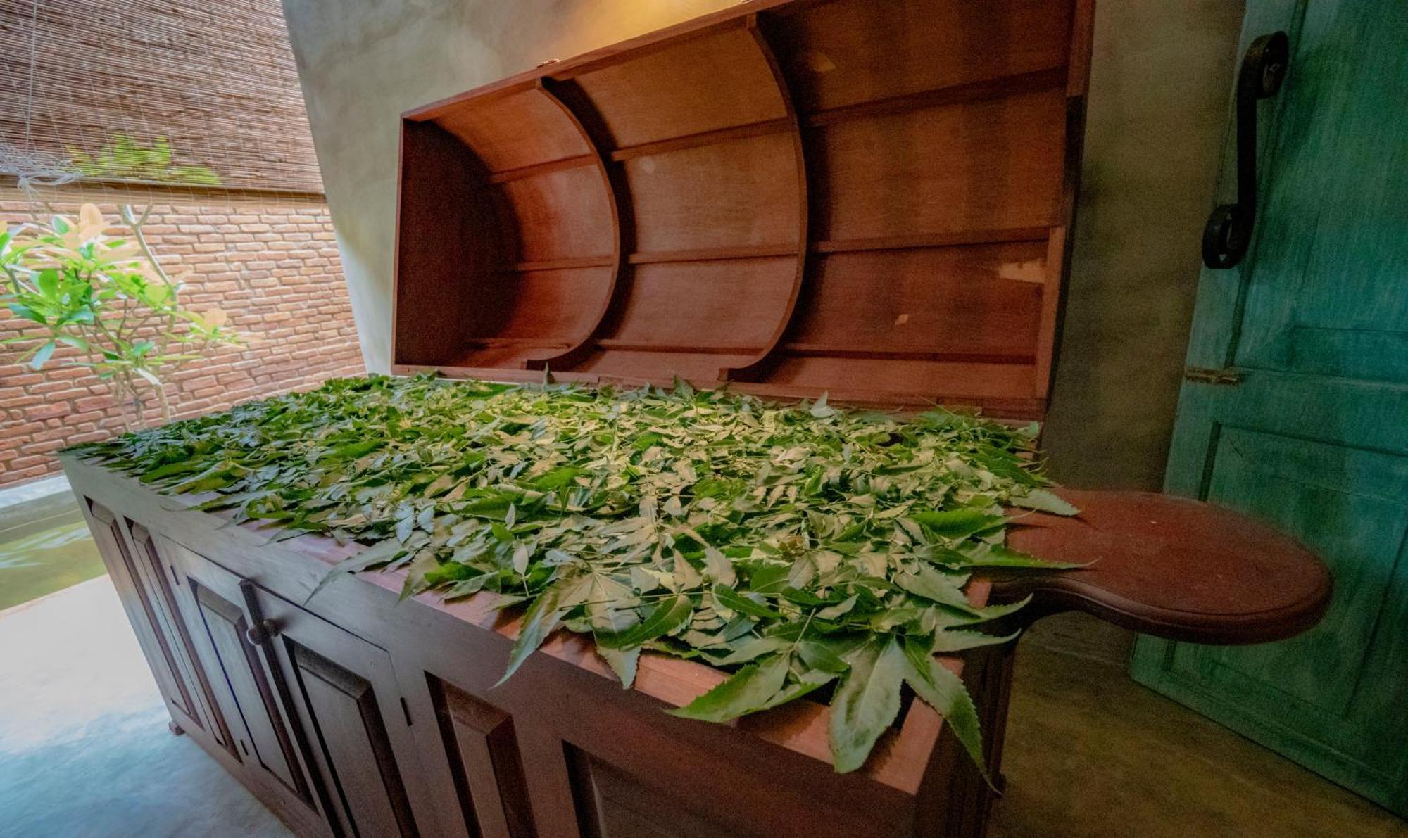 Ayur Ayur Resort & Ayurveda Retreat ネゴンボ エクステリア 写真